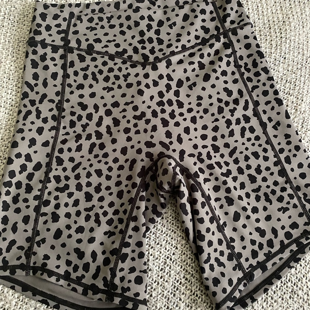 Snow Leopard Riders-M Kingdom Collection